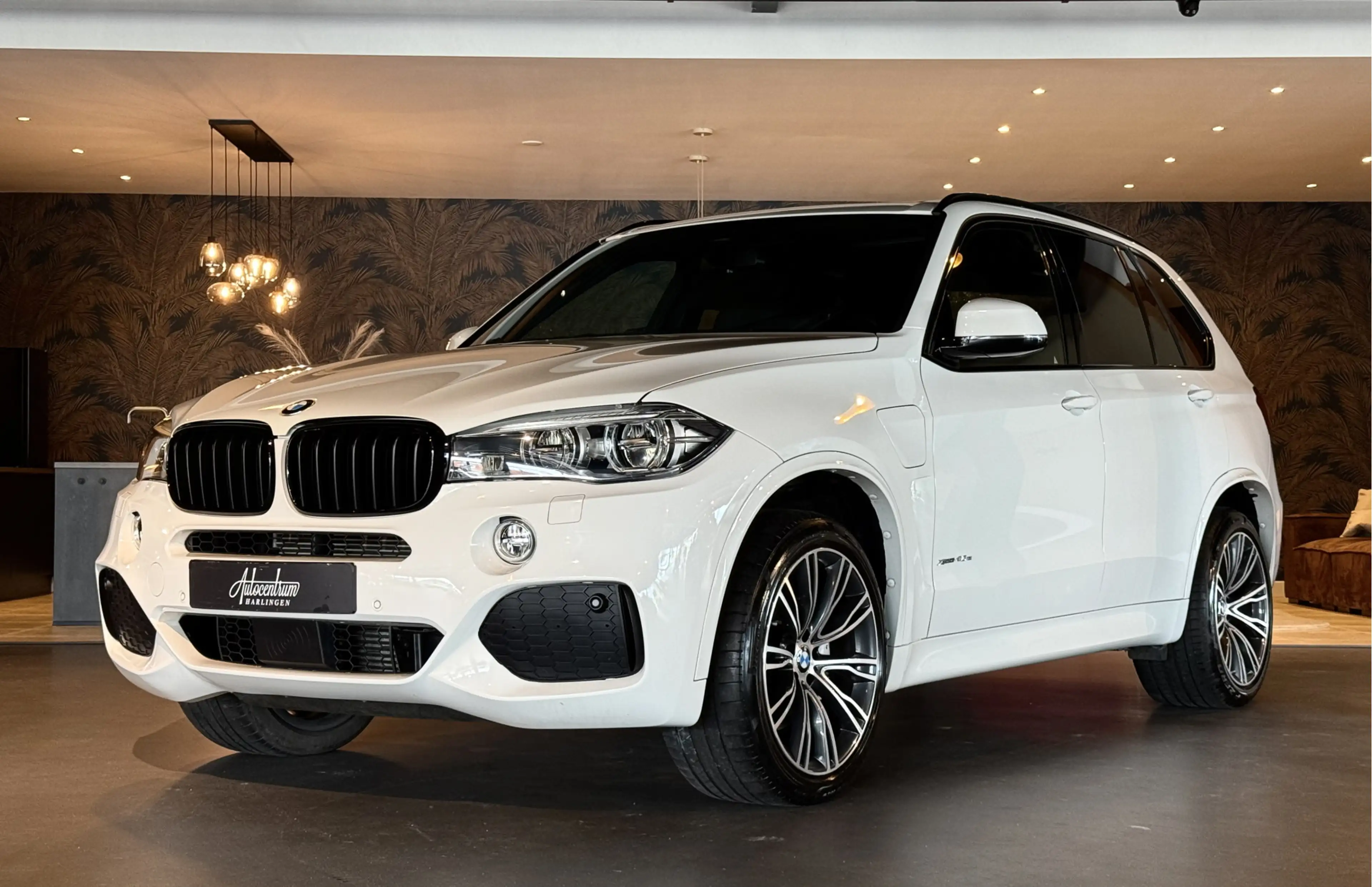BMW X5 xDrive40e I M-Pakket I Pano I Softclose I Head-Up — photo 29
