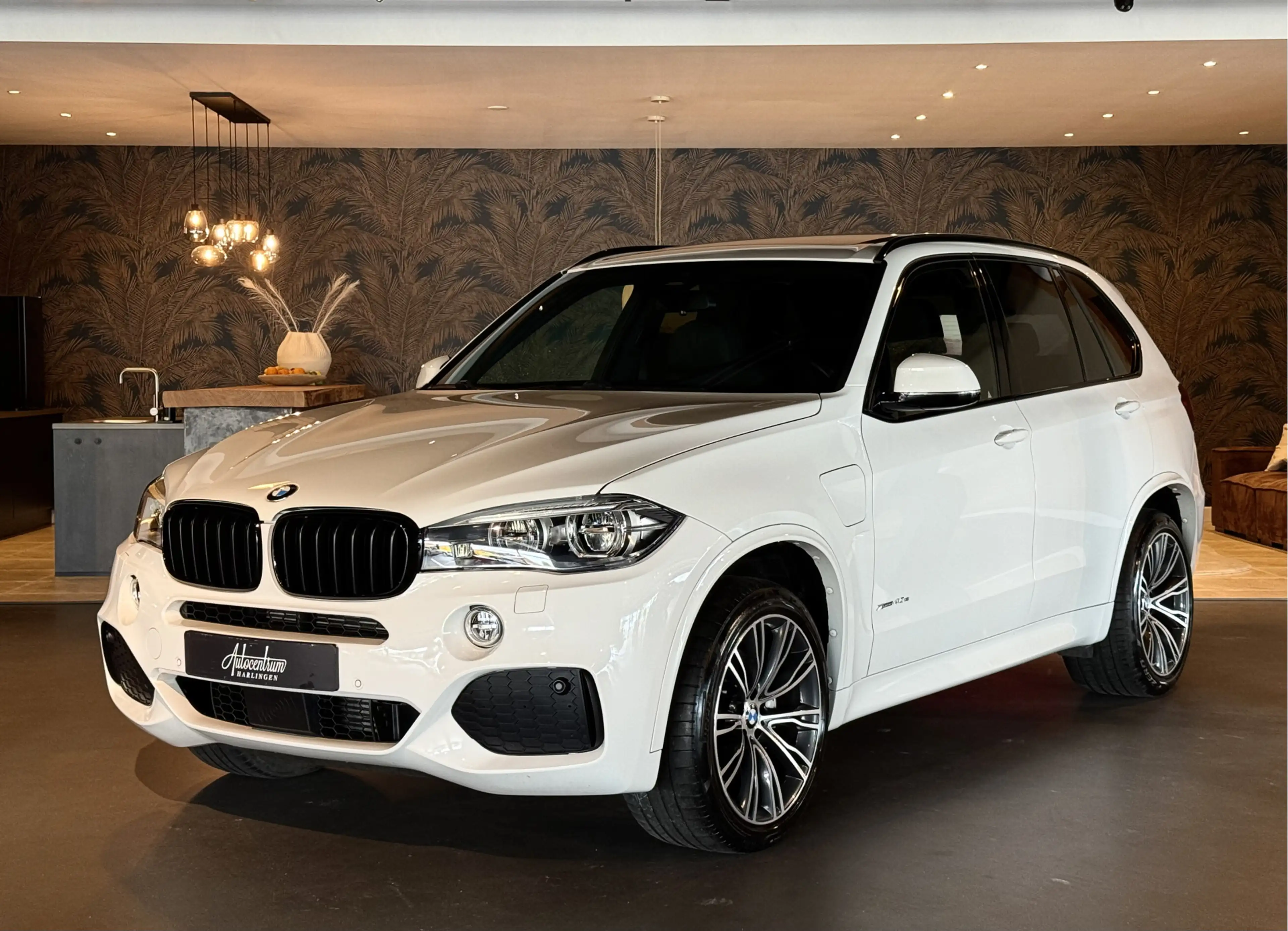 BMW X5 xDrive40e I M-Pakket I Pano I Softclose I Head-Up