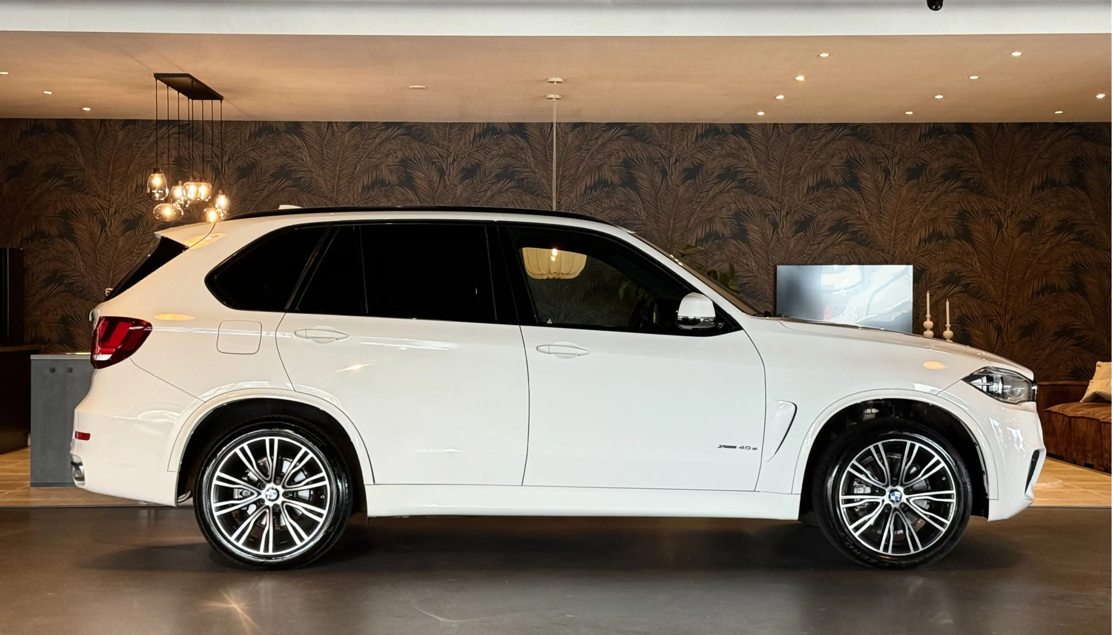 BMW X5 xDrive40e I M-Pakket I Pano I Softclose I Head-Up — photo 6