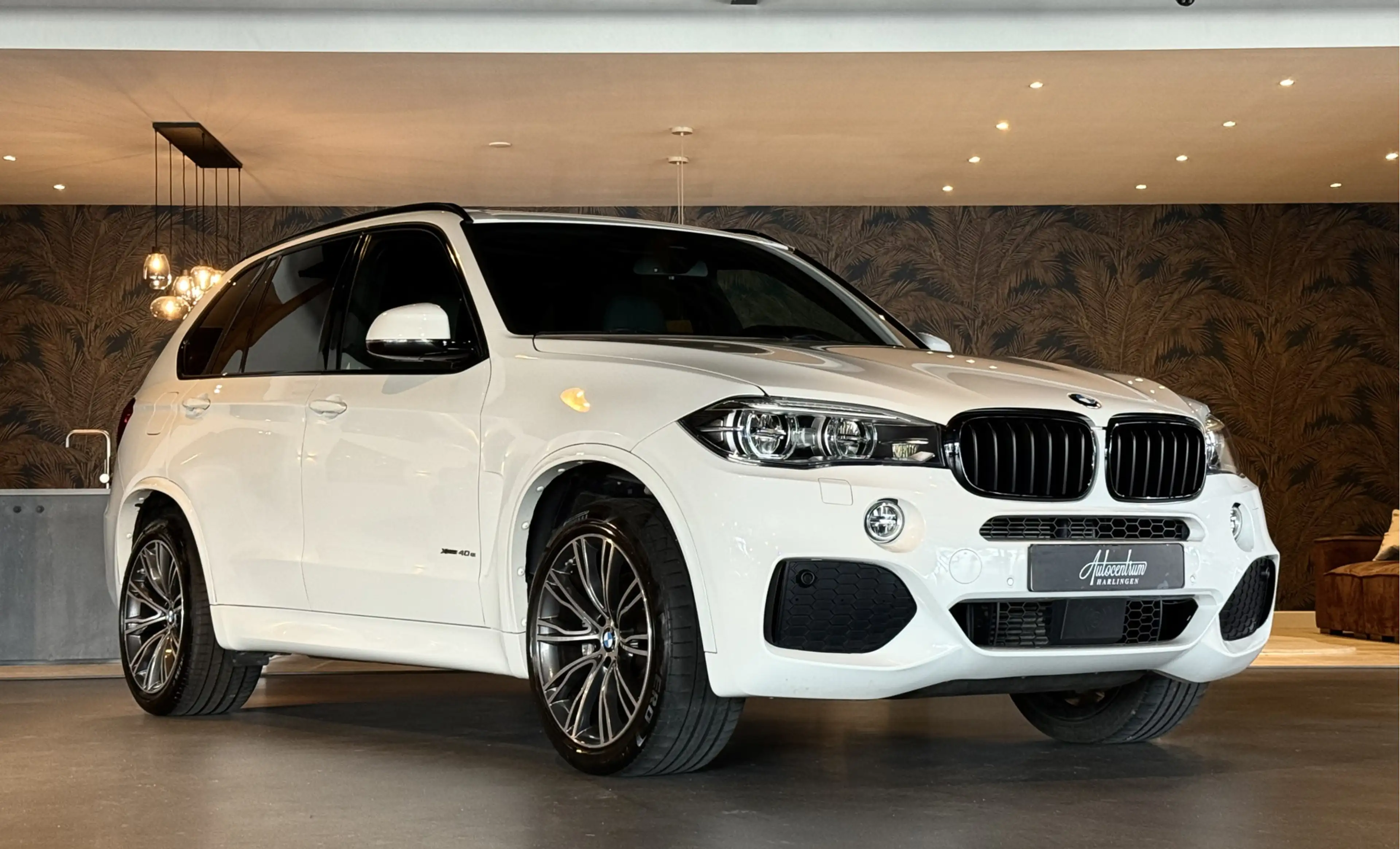 BMW X5 xDrive40e I M-Pakket I Pano I Softclose I Head-Up — photo 31