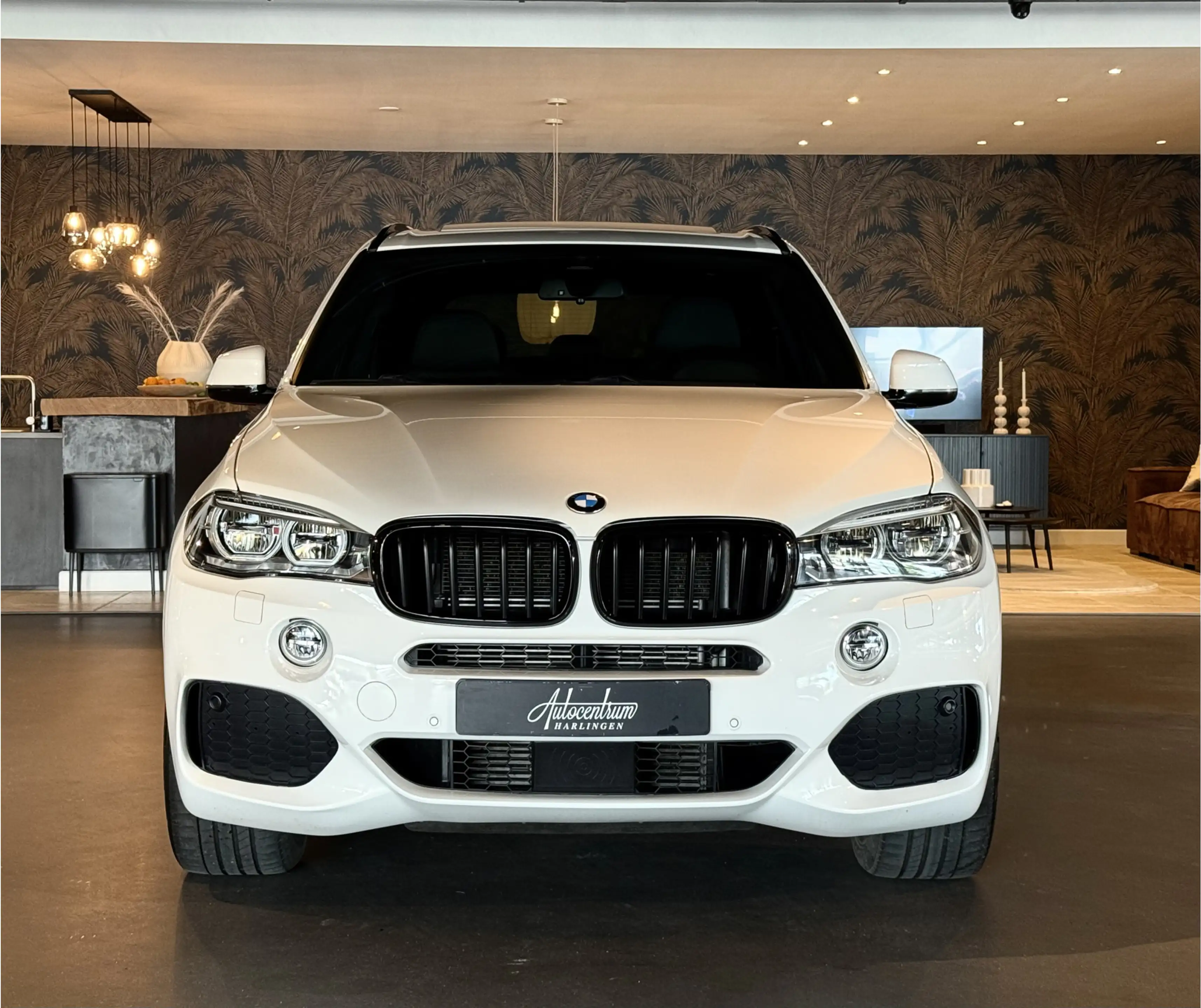 BMW X5 xDrive40e I M-Pakket I Pano I Softclose I Head-Up — photo 8
