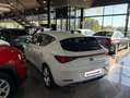 SEAT Leon 1.0 TSI S&S FR 25º Aniversario 110 Blanco - thumbnail 5