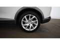 CUPRA Formentor 1.4 eHybrid PHEV 150/204 Aut LED RADAR Weiß - thumbnail 26