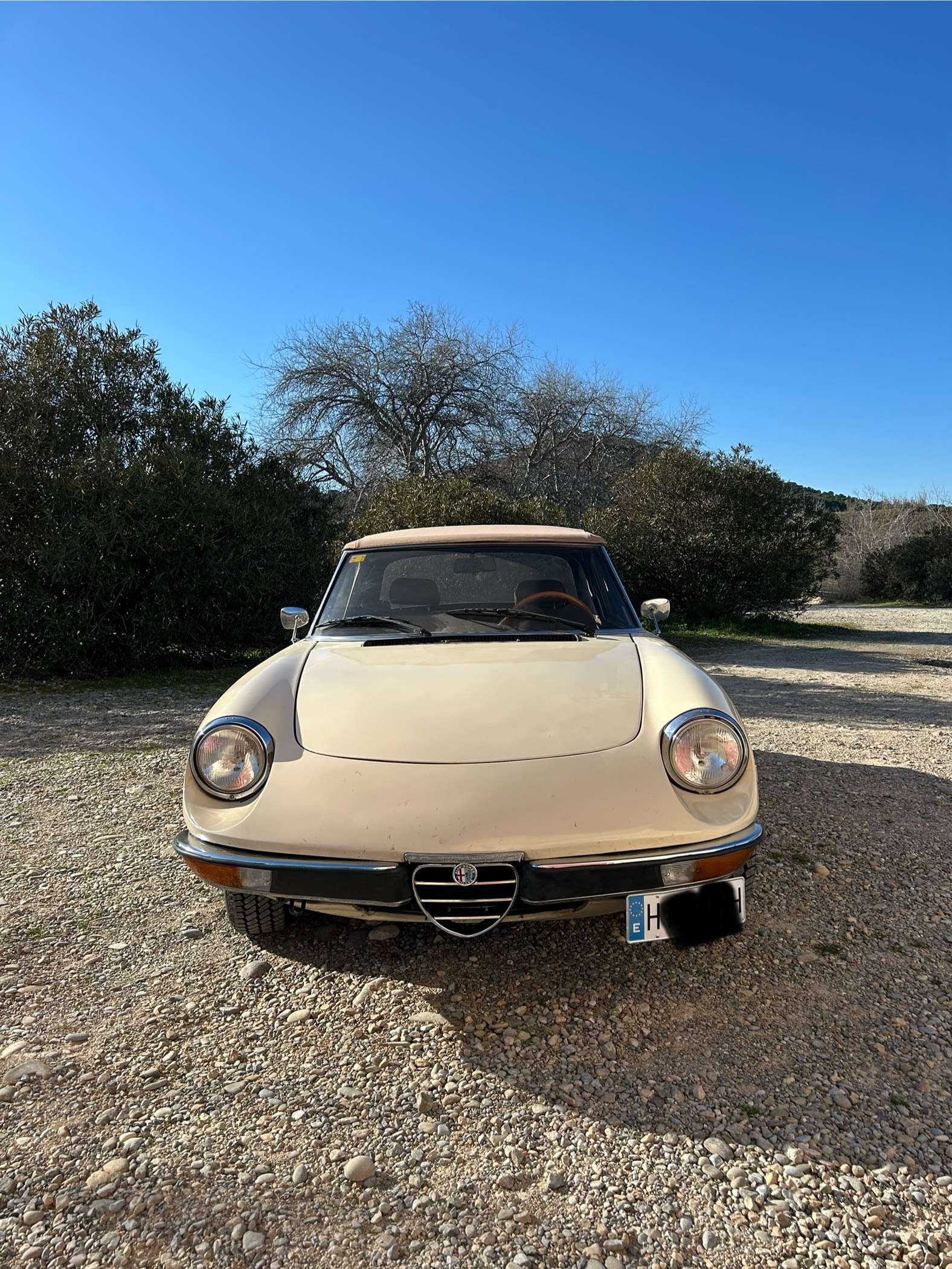 Alfa Romeo Spider Serie 2 2.0 ie - foto 1