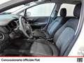 Fiat Punto 5p 1.4 easypower street gpl e6 Bianco - thumbnail 5