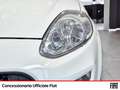 Fiat Punto 5p 1.4 easypower street gpl e6 Bianco - thumbnail 15