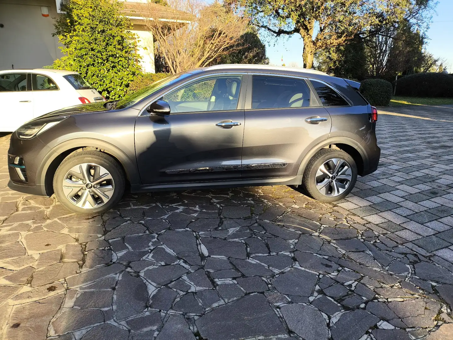 Kia e-Niro Evolution (full optional) - 1
