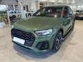 Audi SQ5 SQ5 SPB TDI quattro tiptronic S Q5 MHEV Grün - thumbnail 1