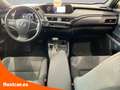 Lexus UX 250h 2.0 Business Navigation Roşu - thumbnail 12