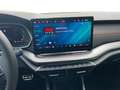 Skoda Octavia Combi RS 2.0 TSI DSG Navi+Pano+Matrix Schwarz - thumbnail 12