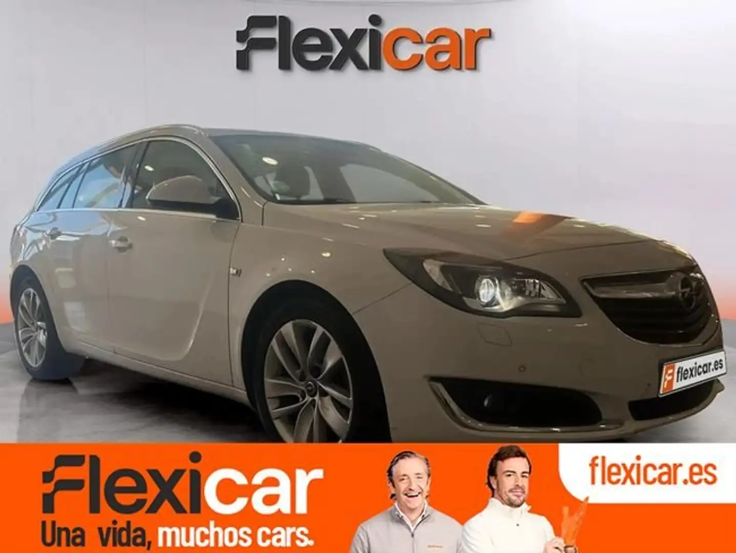 Opel Insignia 1.6CDTI S&S Business 136 Blanco - 1