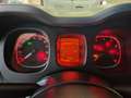 Fiat Panda AUTOCARRO N1 4 POSTI van hybrid City Life uniprop - thumbnail 10