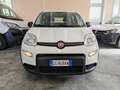 Fiat Panda AUTOCARRO N1 4 POSTI van hybrid City Life uniprop - thumbnail 3