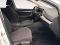 Volkswagen Golf BERLINA CON PORTON 2.0 TDI 85KW LIFE 115 5P Blanco - thumbnail 5