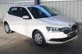 Skoda Fabia Active Klima PDC SHZ ZV Bianco - thumbnail 10