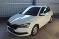 Skoda Fabia Active Klima PDC SHZ ZV Bianco - thumbnail 1