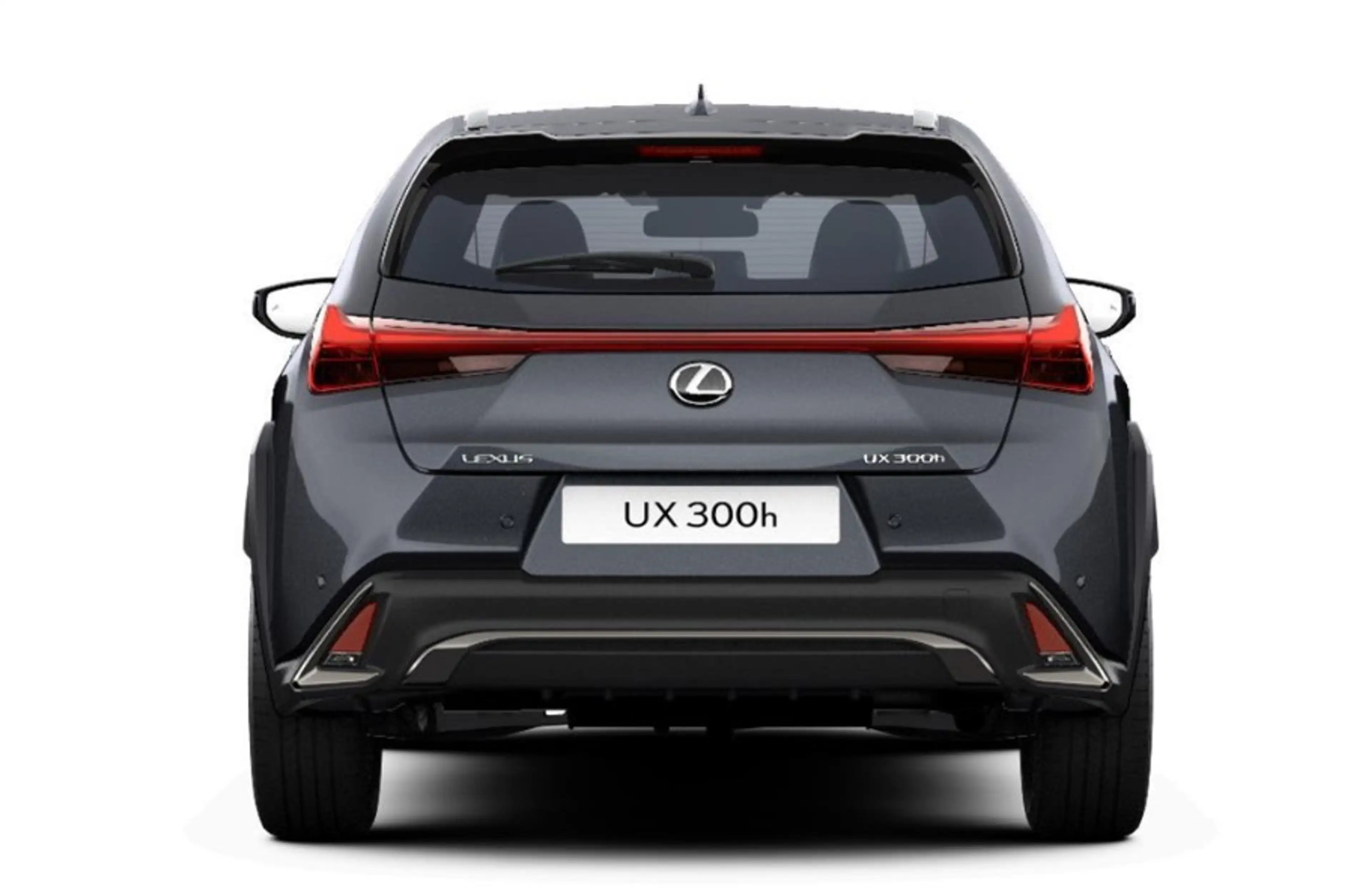 Lexus UX 300h F Sport Design Klima Kamera Sitzhzg — photo 3