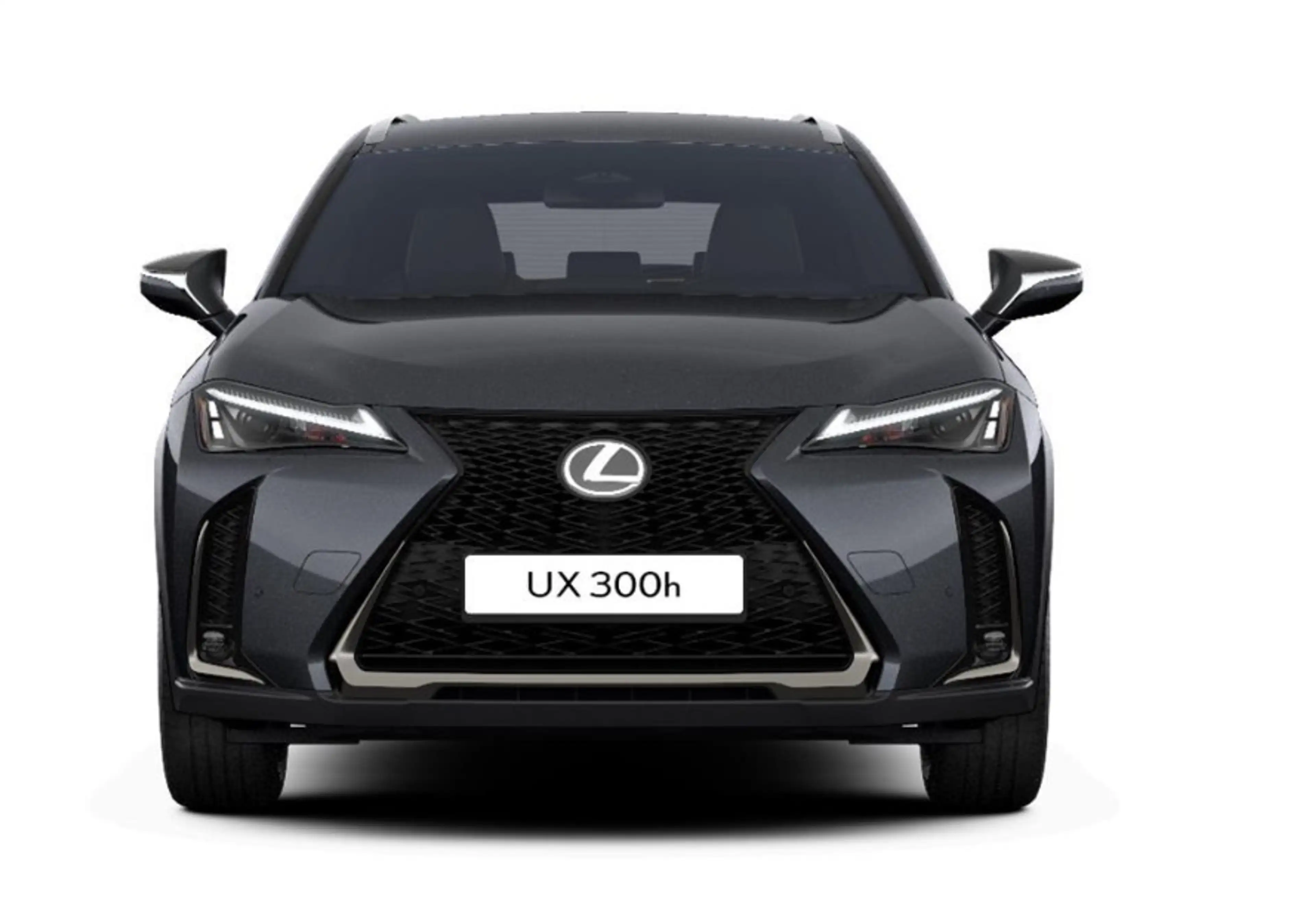 Lexus UX 300h F Sport Design Klima Kamera Sitzhzg — photo 2