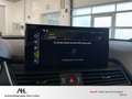 Audi SQ5 3.0 TDI quattro Tiptronic Matrix ACC AHK Standhzg. Grau - thumbnail 21