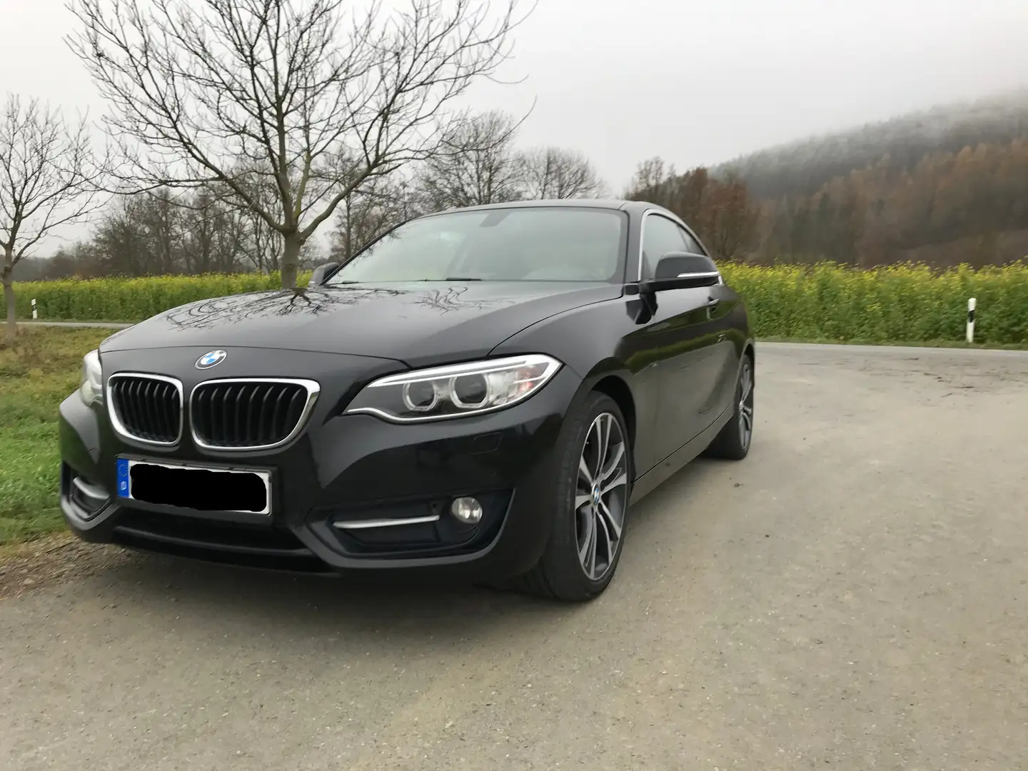 BMW 225 2er Coupe Diesel 225d Coupe Sport-Aut. Sport Line Zwart - 1