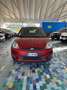 Ford Fiesta Fiesta 5p 1.4 tdci Plus GARANZIA 12 mesi - thumbnail 4