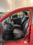 Ford Fiesta Fiesta 5p 1.4 tdci Plus GARANZIA 12 mesi - thumbnail 12
