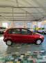 Ford Fiesta Fiesta 5p 1.4 tdci Plus GARANZIA 12 mesi - thumbnail 3