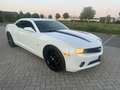 Chevrolet Camaro USA 3.6 V6|automaat|keurige staat! Wit - thumbnail 2