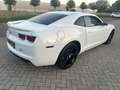 Chevrolet Camaro USA 3.6 V6|automaat|keurige staat! Wit - thumbnail 5
