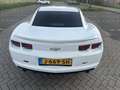 Chevrolet Camaro USA 3.6 V6|automaat|keurige staat! Wit - thumbnail 6