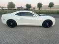 Chevrolet Camaro USA 3.6 V6|automaat|keurige staat! Wit - thumbnail 4