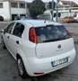 Fiat Punto 5p 1.4 easypower Street Gpl E6 - thumbnail 7