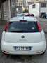 Fiat Punto 5p 1.4 easypower Street Gpl E6 - thumbnail 6
