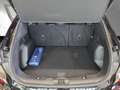 Ford Kuga ST-Line Sportpaket Bluetooth Head Up Display Schwarz - thumbnail 14