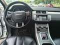 Land Rover Range Rover Evoque 2.2 TD4 150 CV Pure Tech Weiß - thumbnail 11