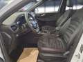 Ford Kuga Plug-In Hybrid ST-Line X Sportpaket Bluetooth Weiß - thumbnail 8