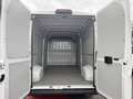 Fiat Ducato H2 Kastenwagen 35 L3H2 140 Multij Weiß - thumbnail 17