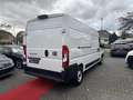 Fiat Ducato H2 Kastenwagen 35 L3H2 140 Multij Weiß - thumbnail 5