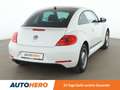 Volkswagen Beetle 1.6 TDI Cup BlueMotion Tech Aut.*PDC*TEMPO* Weiß - thumbnail 6