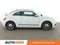 Volkswagen Beetle 1.6 TDI Cup BlueMotion Tech Aut.*PDC*TEMPO* Weiß - thumbnail 7