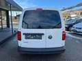 Volkswagen Caddy  Kasten 2,0 TDI Klima-PDC Netto: 8325.- Weiß - thumbnail 7