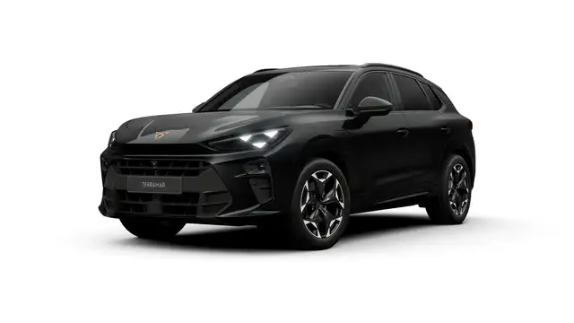 CUPRA Terramar VZ Performance | 360 graden camera | Achteruitrijc