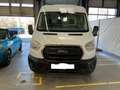 Ford Transit Kasten 350 L2 Trend Kilma 1.Hand PDC Blanc - thumbnail 2