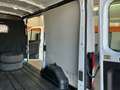 Ford Transit Kasten 350 L2 Trend Kilma 1.Hand PDC Blanc - thumbnail 13