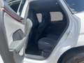 CUPRA Terramar 1.5 eTSI DSG HYBRID LED/E-SEAT/ASSIST/CONNECT/PDC Blanc - thumbnail 15