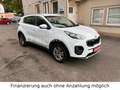 Kia Sportage 1.6 Vision 4WD Automatik Kamera Navi Alb - thumbnail 7