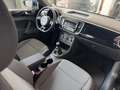 Volkswagen Maggiolino New Beetle 1.6 TDI 105 CV Noir - thumbnail 9