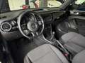 Volkswagen Maggiolino New Beetle 1.6 TDI 105 CV Noir - thumbnail 8