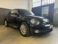 Volkswagen Maggiolino New Beetle 1.6 TDI 105 CV Noir - thumbnail 3