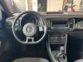 Volkswagen Maggiolino New Beetle 1.6 TDI 105 CV Noir - thumbnail 10